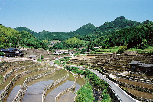 東彼杵郡川棚の春