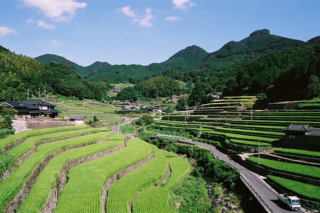 東彼杵郡川棚の夏