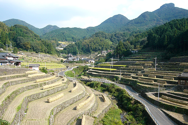 東彼杵郡川棚の秋